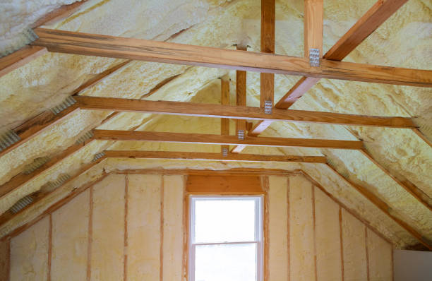 Best Attic Insulation Installation  in Pike Road, AL