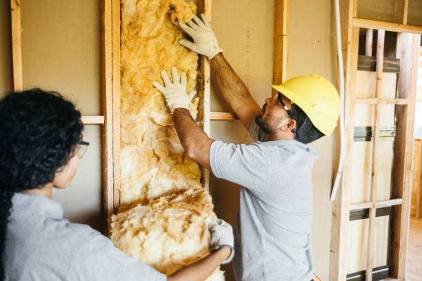 Best Best Insulation Companies  in Pike Road, AL